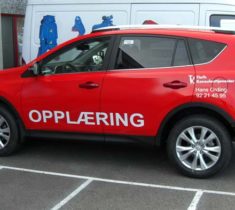 opplaring opplaring
